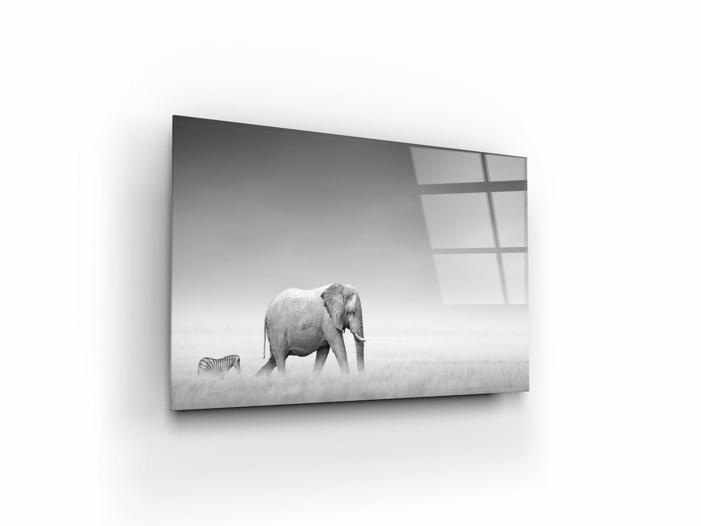 Elephant with zebra in open plains of Etosha - OCP TINY THINGS