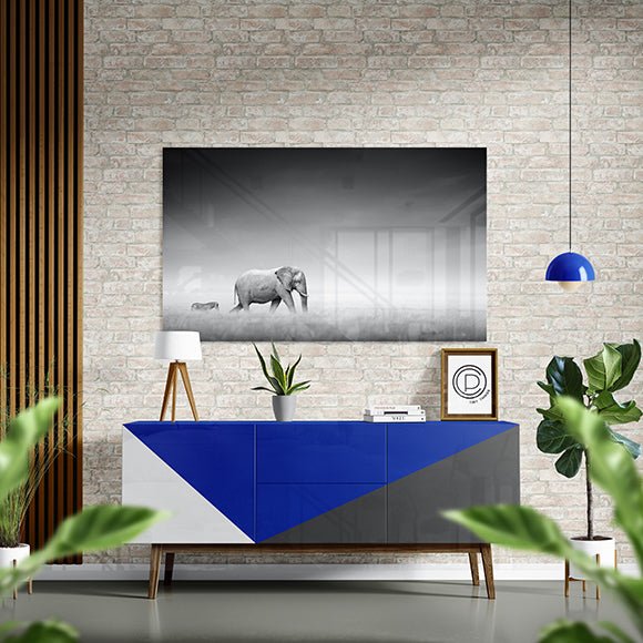 Elephant with zebra in open plains of Etosha - OCP TINY THINGS
