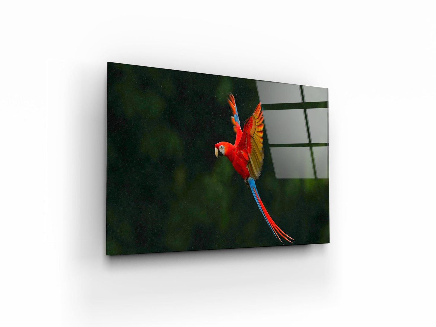 GUACAMAYO - OCP TINY THINGS