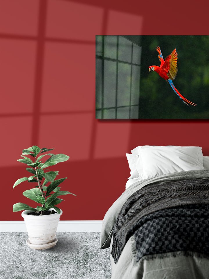 GUACAMAYO - OCP TINY THINGS