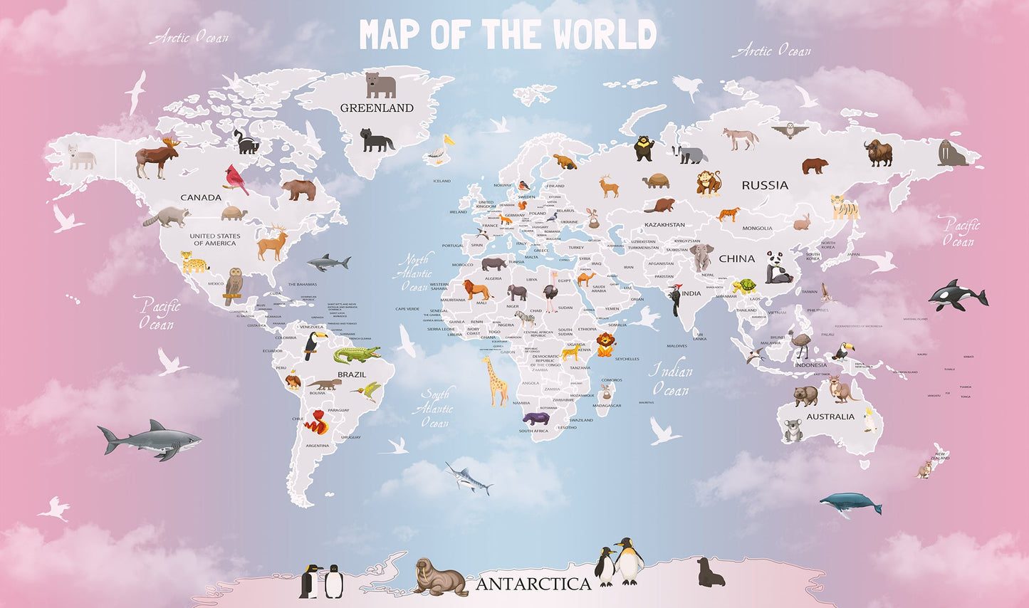 Pink World Map - OCP TINY THINGS
