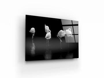 Five sleeping flamingos are isolated and standing in water