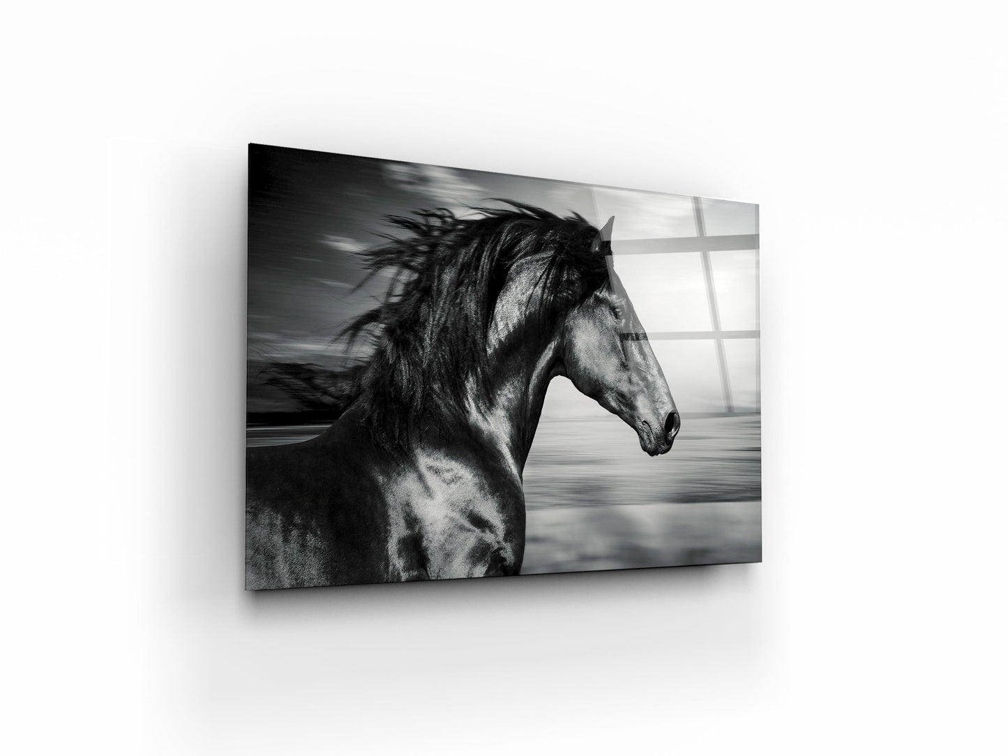 portrait of the Spanish running horse, black and white photo - OCP TINY THINGS