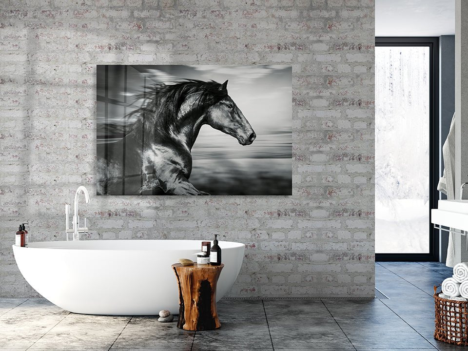portrait of the Spanish running horse, black and white photo - OCP TINY THINGS