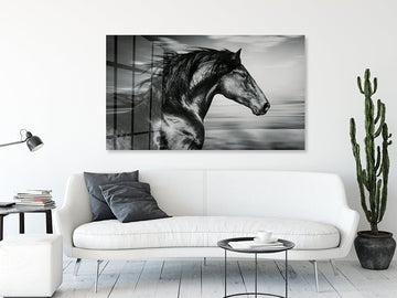 portrait of the Spanish running horse, black and white photo