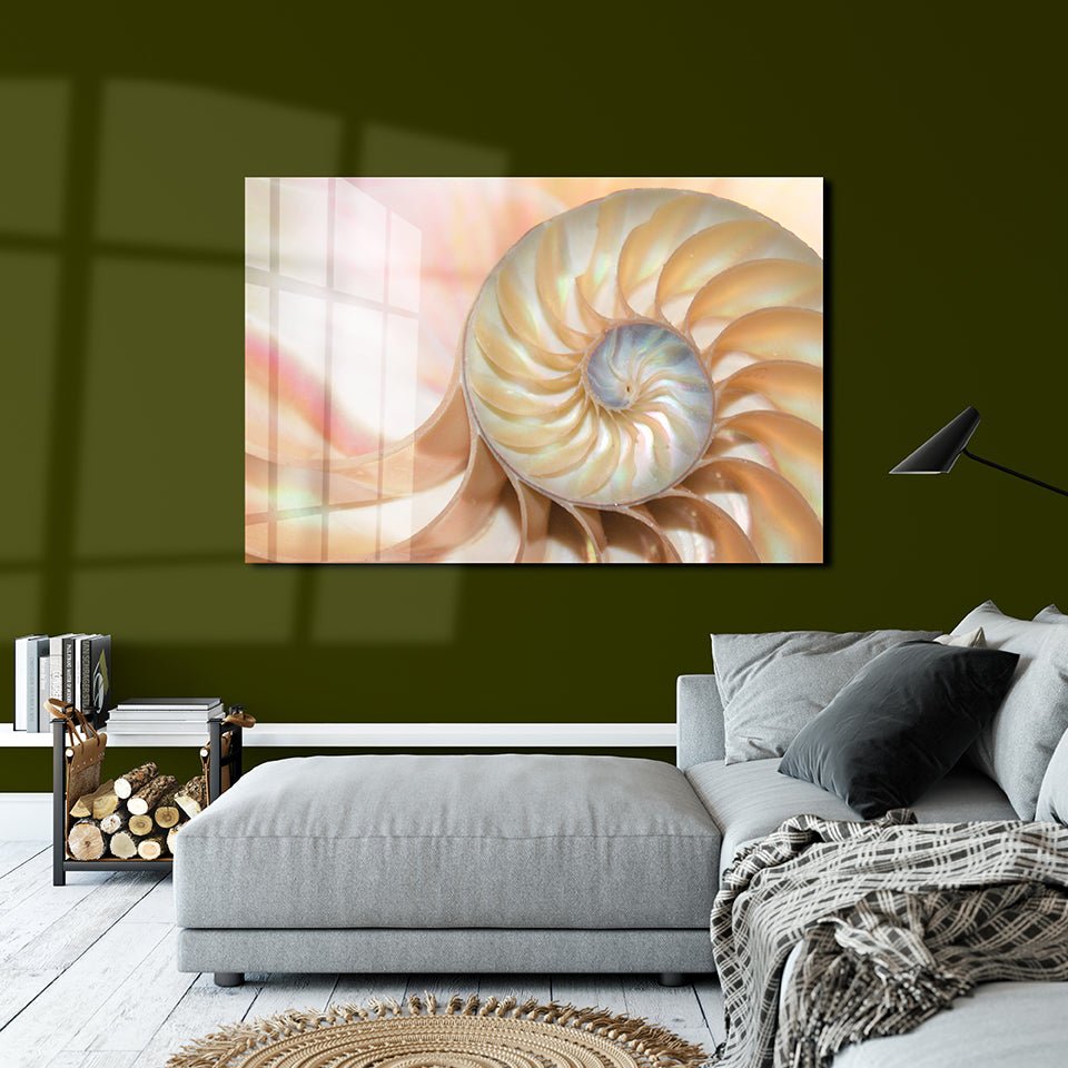 Shell pearl nautilus Fibonacci section spiral - OCP TINY THINGS