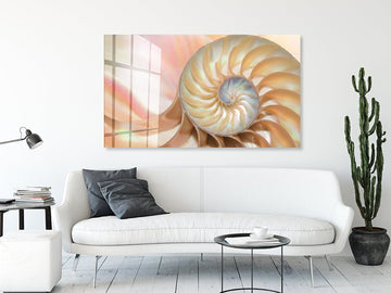 Shell pearl nautilus Fibonacci section spiral