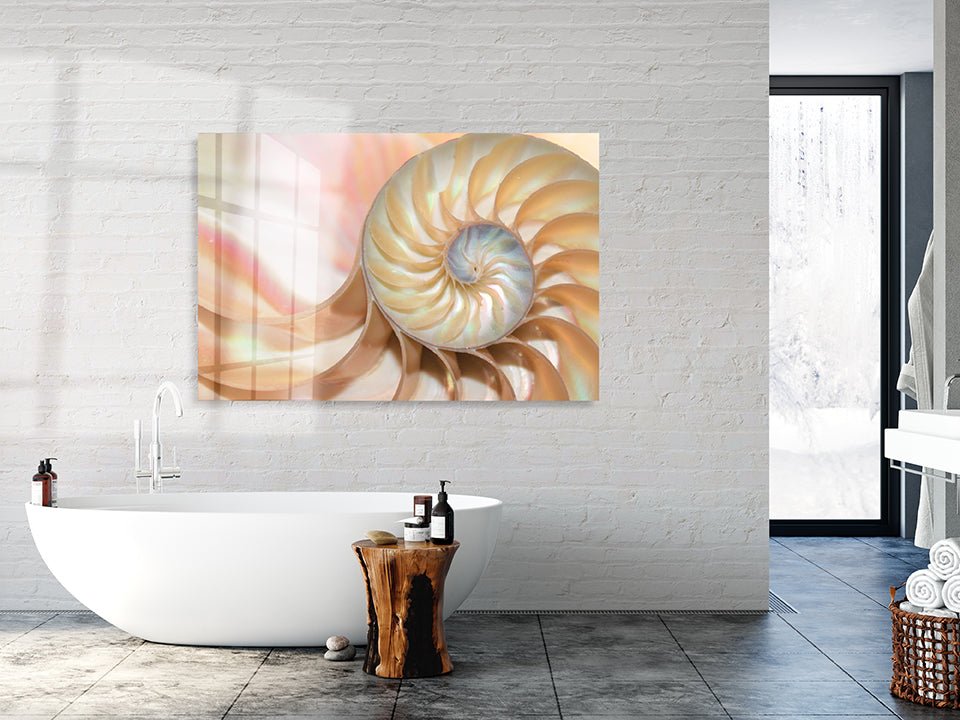 Shell pearl nautilus Fibonacci section spiral - OCP TINY THINGS